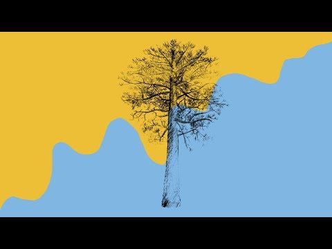 Airforlife & You Name It - Stand Tall