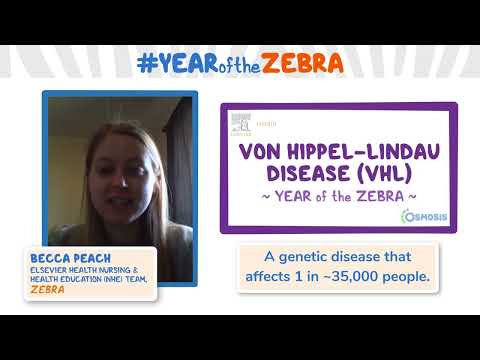 Achalasia Year of the Zebra