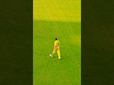 Reel tagged #cricket