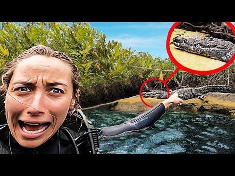 Notre PIRE Rencontre dans la Jungle !
