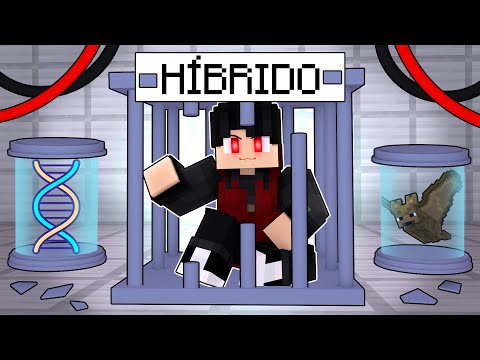 P3DRU virou um HÍBRIDO DE VAMPIRO no Minecraft por 24 HORAS
