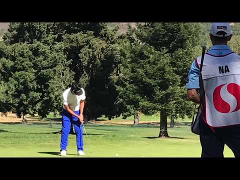 Safeway Open October 8th 2017