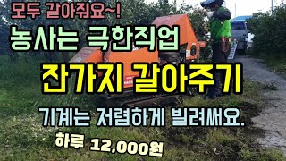 농사는 극한직업 목재파쇄기로 잔가지를 파쇄해 밭에 깔아줘 땅힘을 높여줍니다 농기계임대 귀농귀촌