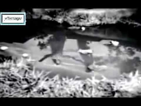 OST Panggilan Pulau 1954 - Simpulan Kaseh - P Ramlee, Normadiah