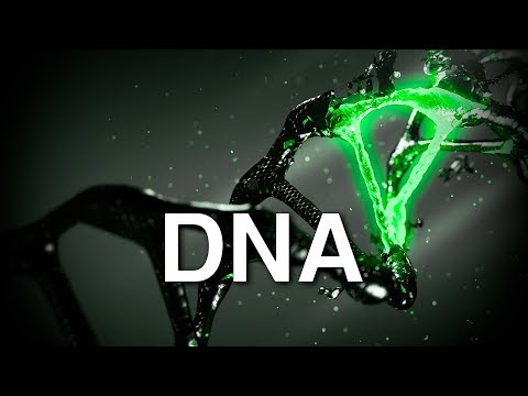 Sonhador e Sidney Scaccio - DNA feat Tio Style