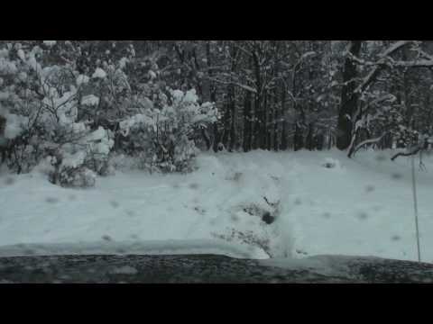 2010_01_23_11.43 Calugareni #01