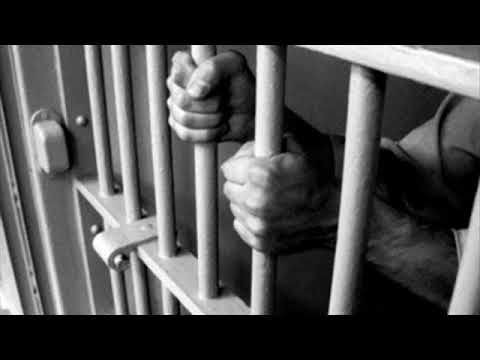 Pedro - Takie życie