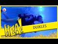 HEA! Duikles