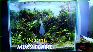 Moss Flame untuk Aquascape - Update 40cm Tema Tebing