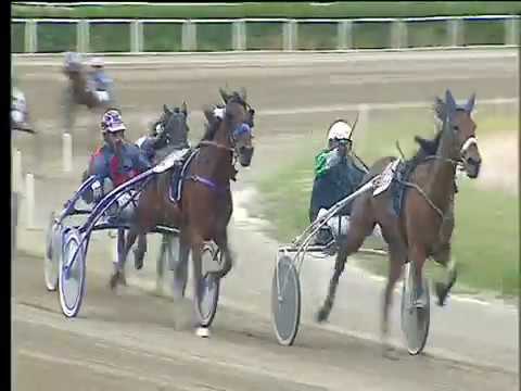 Trotto 21/05/2017 - 1ª corsa