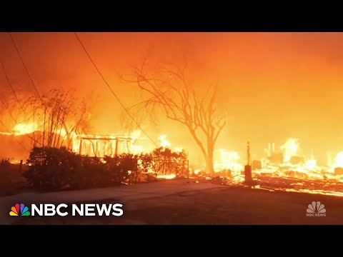 Brazil Museum Fire: Recovering Memory from Ash and Loss