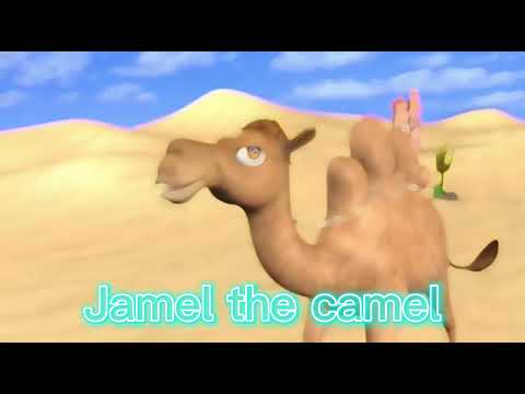 Jamel the camel//#edit