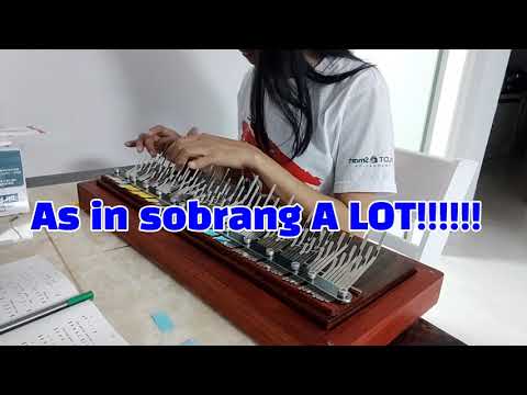 (Array mbira) Music Day 2