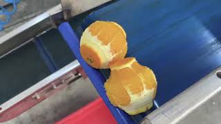 蔬菜削皮器 PND PL4AV | 图像 4 - Machineryline