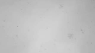 Francis and the Lights - My City&#39;s Gone