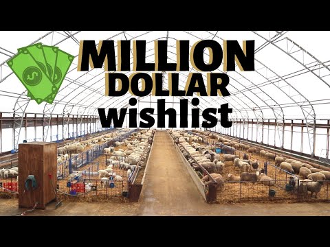 Sheep farm improvement ideas... (If I won the lottery.)   Vlog 227