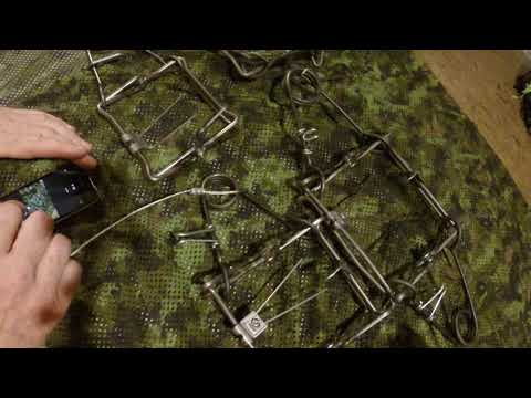 Body grip trap comparison. Rudy & Belisle Traps.