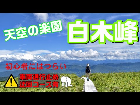 白木峰　21世紀の森・森林学習展示館 | スポット・体験 | 【公式】富山県の観光/旅行サイト「とやま観光ナビ」
