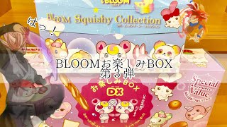 【ゆるい＆地声】またBLOOM Squishy Collection/ブルームお楽しみBOXの第3弾が出た⁉️
