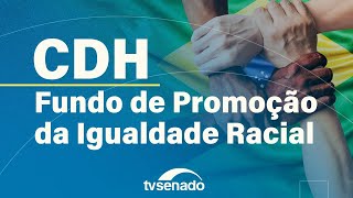 CDH debate Fundo para Promoção da Igualdade Racial – 13/11/25