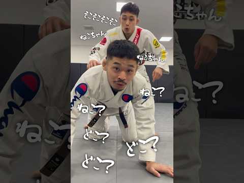 遂にフェイントを理解した男