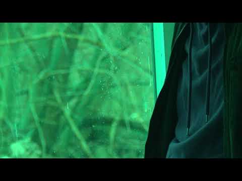 lunvtyk - zwykły chłopak