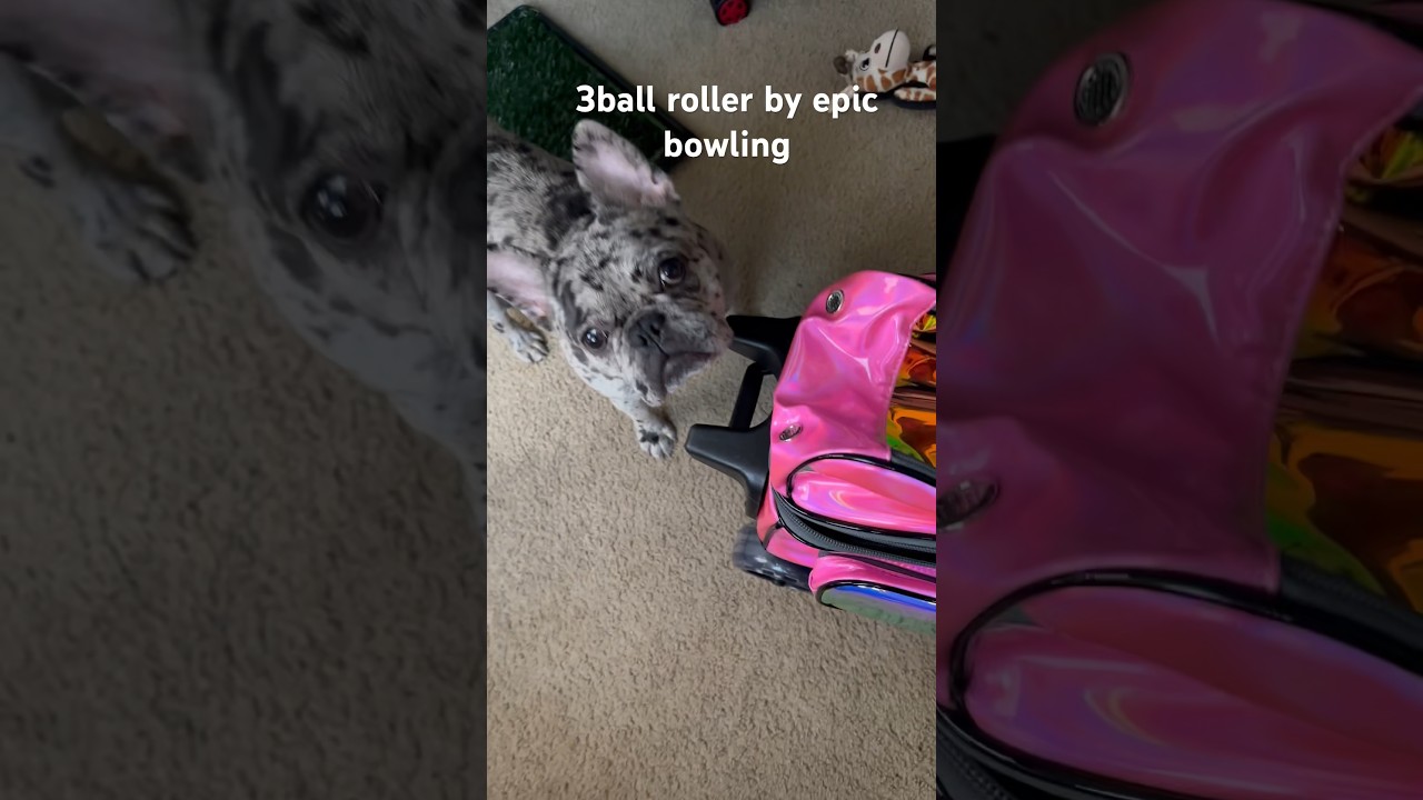 3 Ball Triple Luminous Hot Pink Bowling Bag by Epic (dog not included) #epic #bowling #bowlingbag