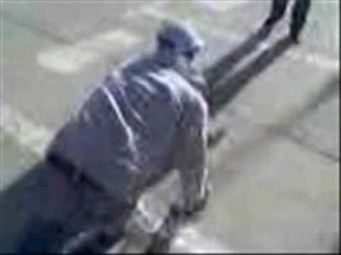 Steaua - Dinamo o alta umilinta pentru caini