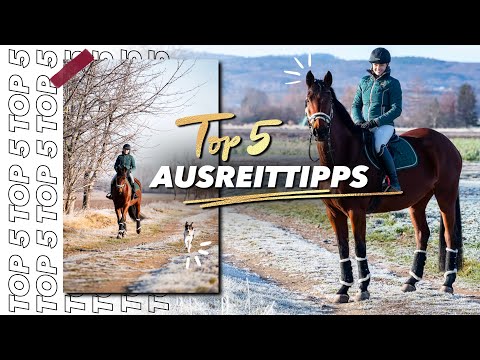 Entspannt Ausreiten | Top 5 Tipps für euch