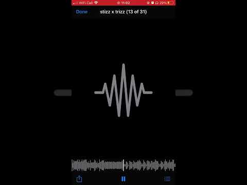 stizz x trizz - (NoHook)