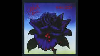 Roisin Dubh (Black Rose): A Rock Legend - Thin Lizzy (Standard Tuning)