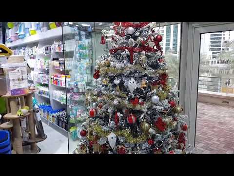 enjoy your Christmas with you fluffy friends with petsky