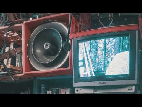 Black Light Smoke: Sprinkles Says