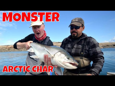 download lagu mp3 mp4 Atlantic Char Fish, download lagu Atlantic Char Fish gratis, unduh video klip Atlantic Char Fish