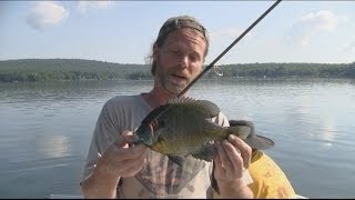 preview picture of video 'Big Bluegills In HD'