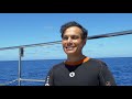Japanand39s Scuba Diving Adventure W Sharks ★ Only In Japan