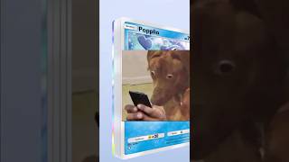 Eevee Groove 10 Packs Opening #pokemontcgpocket #packbattle #pokemon #collectiblecards