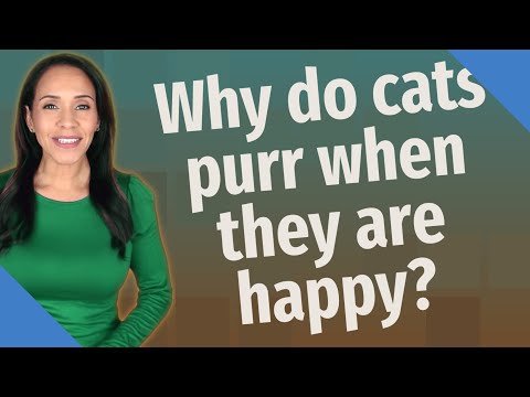 Why do cats purr when they are happy?