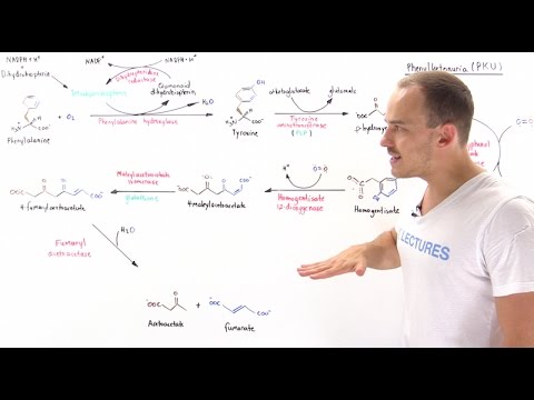 Phenylketonuria (PKU)