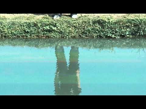 edacity - i wont regret you w/ xy softshade [OFFICAL AUDIO]