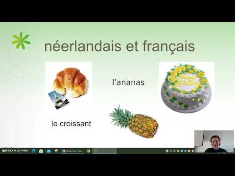 Fioretti mini cours de français