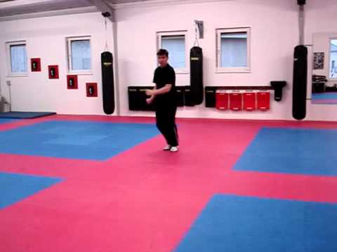 7  Toi Gye Hyong 17 11 2010