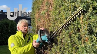 Die Makita Akku-Heckenschere 52 cm im Praxiseinsatz