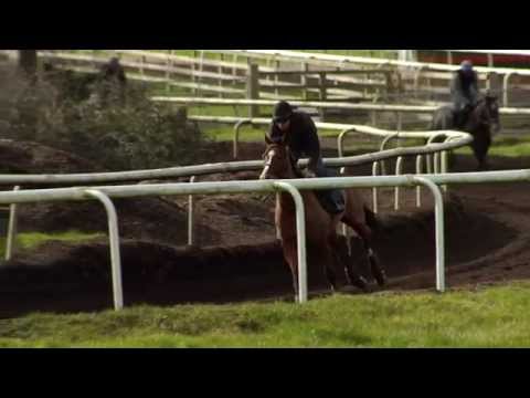 Willie Mullins Cheltenham 2015 Day One