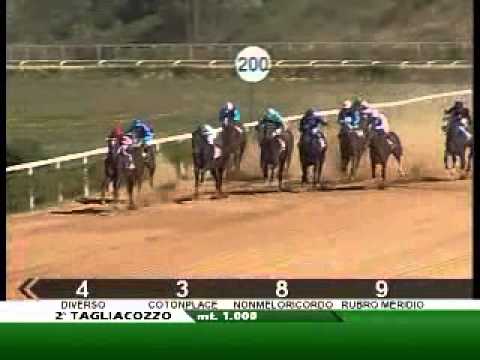 08/07/2012, Tagliacozzo , Premio Palio