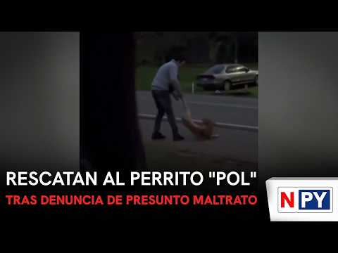 Rescatan al perrito "Pol" tras denuncia de presunto maltrato