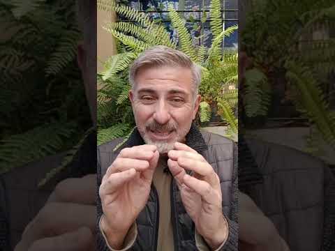Evangelio del Nuestro Señor Jesucristo Con el Padre Fabian Esteban Oliva. Segunda parte 14/05/26