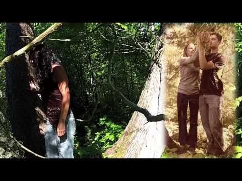 Shy-Anne - Birch, Cedar Spruce (Official Video)