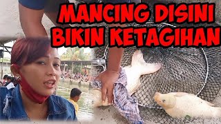 Download lagu Mancing Disini Bikin Ketagihan #fishingmania #MancingCantik mp3 Download lagu Mancing Disini Bikin Ketagihan #fishingmania #MancingCantik mp3