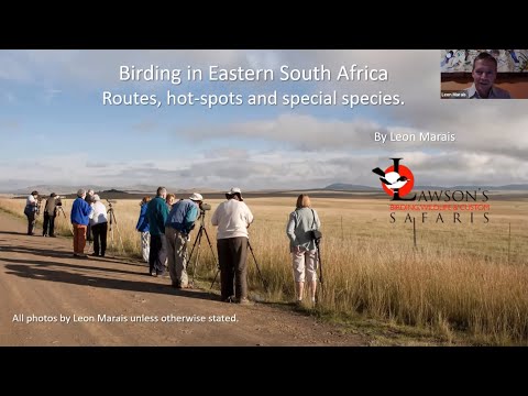 Birds and birding in eastern South Africa